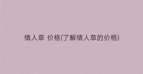 情人草 价格(了解情人草的价格)